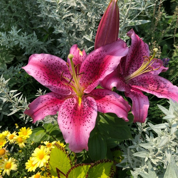 Meet your Posher, Jenni - Picture 13 of 13